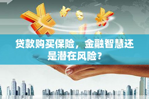 湘西贷款购买保险，金融智慧还是潜在风险？