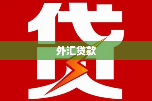 湘西外汇贷款