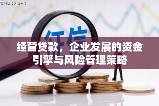 湘西经营贷款，企业发展的资金引擎与风险管理策略