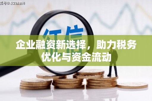 湘西企业融资新选择，助力税务优化与资金流动