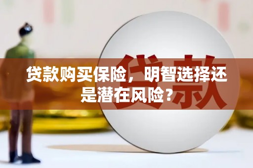 湘西贷款购买保险，明智选择还是潜在风险？