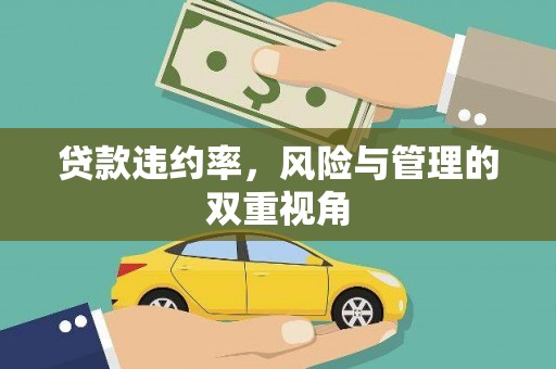 湘西贷款违约率，风险与管理的双重视角