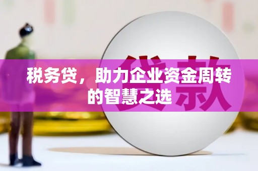 湘西税务贷，助力企业资金周转的智慧之选