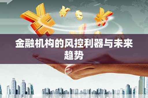 湘西金融机构的风控利器与未来趋势