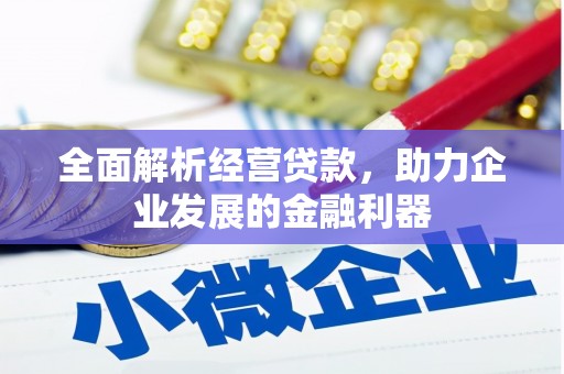 湘西全面解析经营贷款，助力企业发展的金融利器