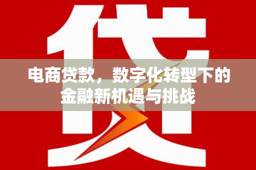 湘西电商贷款，数字化转型下的金融新机遇与挑战
