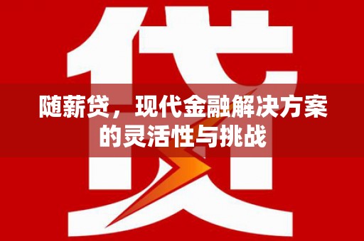 湘西随薪贷，现代金融解决方案的灵活性与挑战