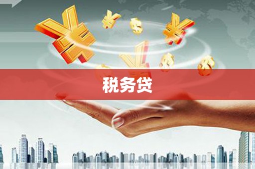 湘西税务贷
