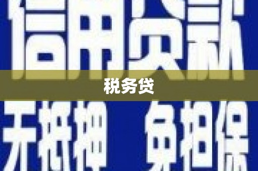 湘西税务贷