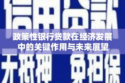 湘西政策性银行贷款在经济发展中的关键作用与未来展望