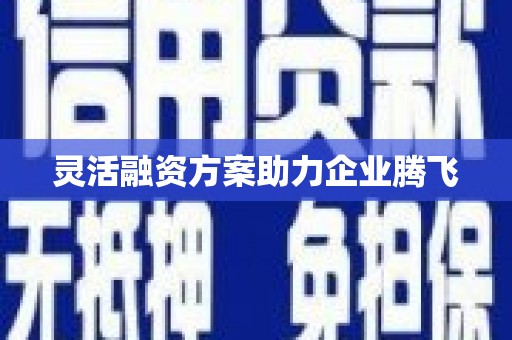 湘西灵活融资方案助力企业腾飞