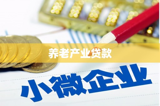 湘西养老产业贷款