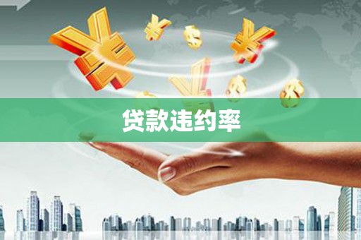 湘西贷款违约率