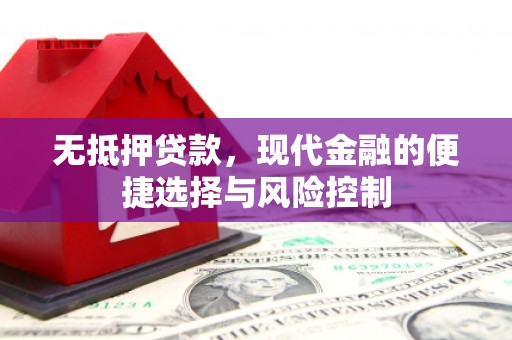 湘西无抵押贷款，现代金融的便捷选择与风险控制