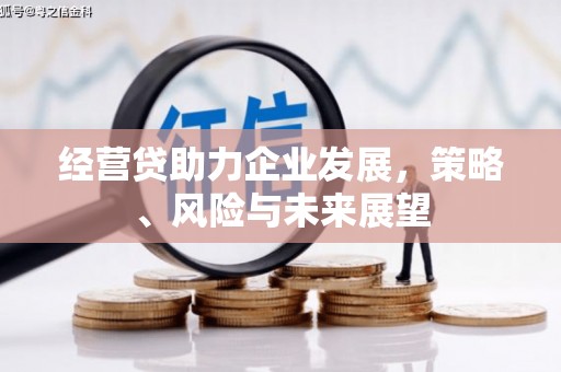 湘西经营贷助力企业发展，策略、风险与未来展望