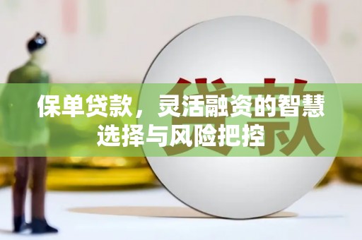 湘西保单贷款，灵活融资的智慧选择与风险把控