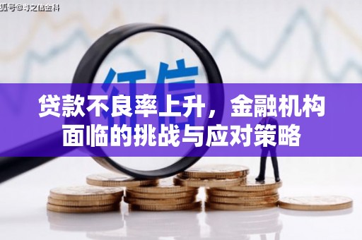 湘西贷款不良率上升，金融机构面临的挑战与应对策略
