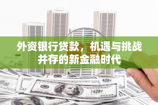 湘西外资银行贷款，机遇与挑战并存的新金融时代