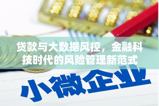 湘西贷款与大数据风控，金融科技时代的风险管理新范式
