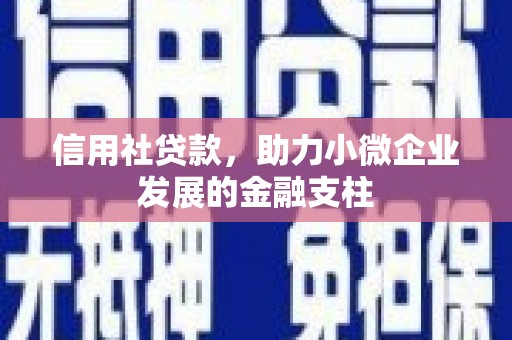 湘西信用社贷款，助力小微企业发展的金融支柱