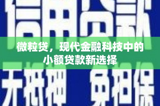 湘西微粒贷，现代金融科技中的小额贷款新选择