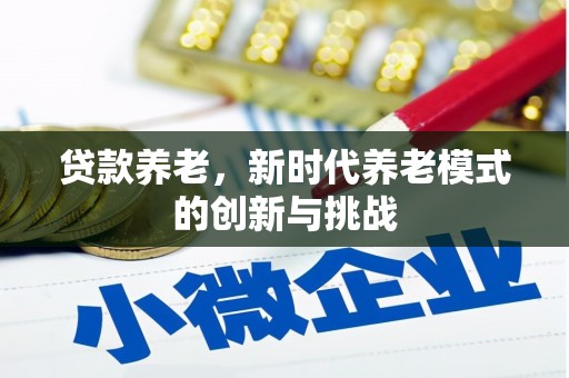 湘西贷款养老，新时代养老模式的创新与挑战