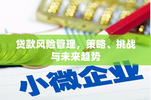湘西贷款风险管理，策略、挑战与未来趋势