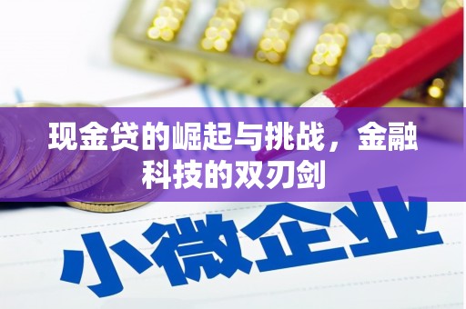 湘西现金贷的崛起与挑战，金融科技的双刃剑