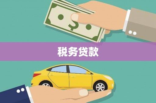 湘西税务贷款