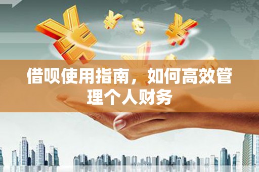 湘西借呗使用指南，如何高效管理个人财务