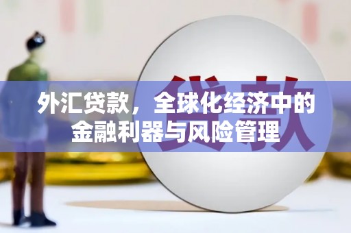 湘西外汇贷款，全球化经济中的金融利器与风险管理