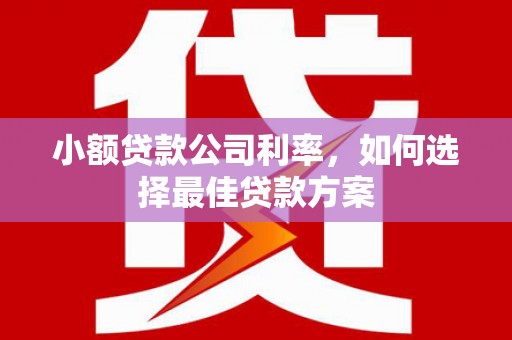 湘西小额贷款公司利率，如何选择最佳贷款方案