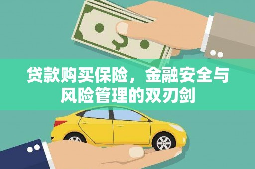 湘西贷款购买保险，金融安全与风险管理的双刃剑