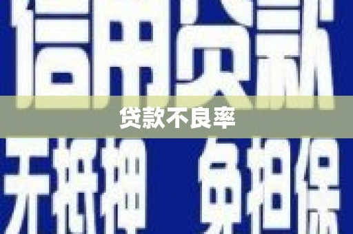 湘西贷款不良率