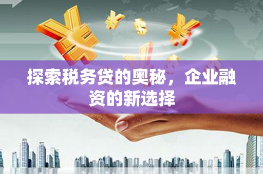 湘西探索税务贷的奥秘，企业融资的新选择