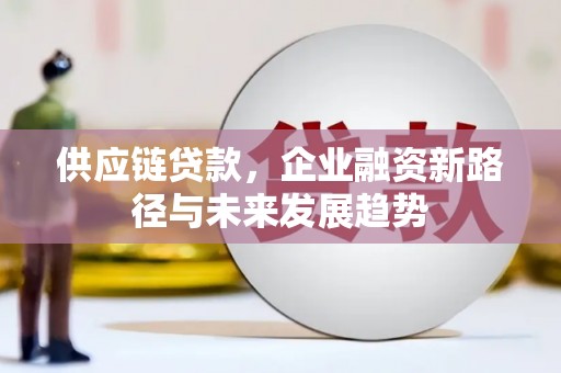 湘西供应链贷款，企业融资新路径与未来发展趋势