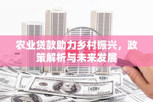 湘西农业贷款助力乡村振兴，政策解析与未来发展