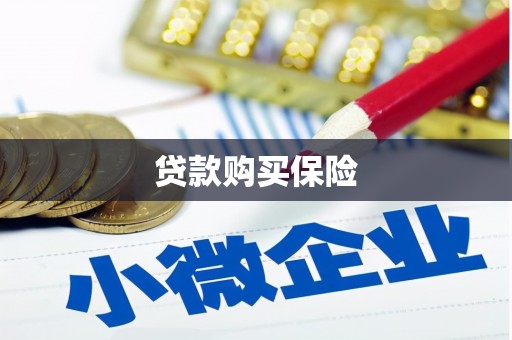 湘西贷款购买保险