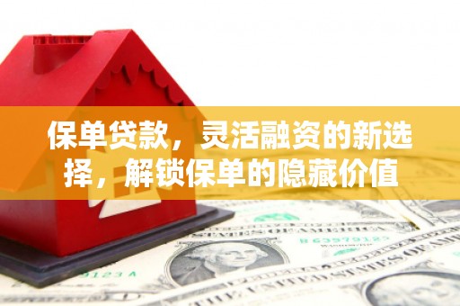 湘西保单贷款，灵活融资的新选择，解锁保单的隐藏价值