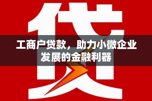 湘西工商户贷款，助力小微企业发展的金融利器