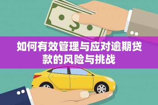 湘西如何有效管理与应对逾期贷款的风险与挑战