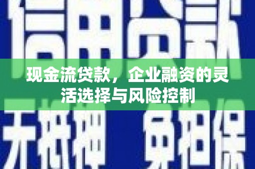 湘西现金流贷款，企业融资的灵活选择与风险控制