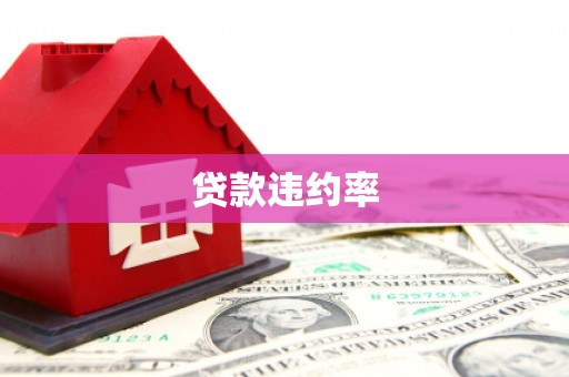 湘西贷款违约率