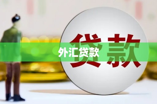 湘西外汇贷款