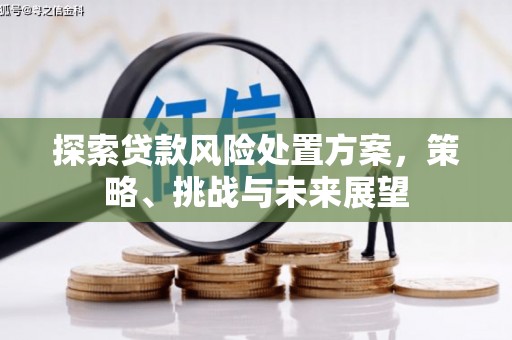 湘西探索贷款风险处置方案，策略、挑战与未来展望