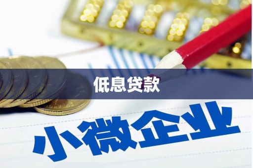 湘西低息贷款
