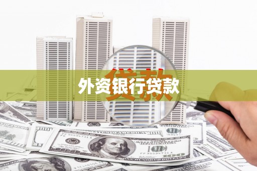 湘西外资银行贷款