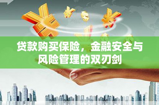 湘西贷款购买保险，金融安全与风险管理的双刃剑