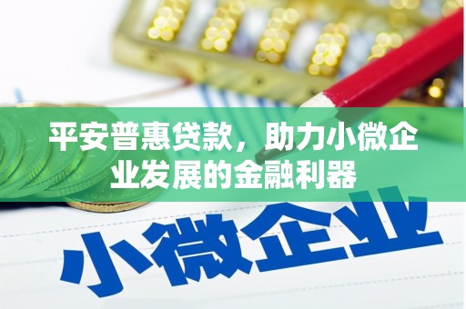 湘西平安普惠贷款，助力小微企业发展的金融利器