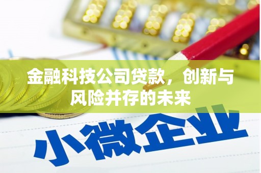 湘西金融科技公司贷款，创新与风险并存的未来
